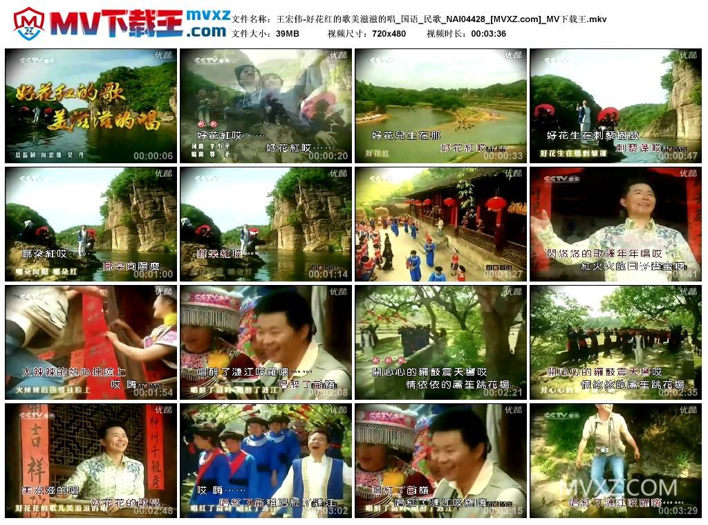 王宏伟-好花红的歌美滋滋的唱_国语_民歌_NAI04428